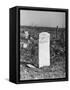 Abandoned Cemetery-Jack Delano-Framed Stretched Canvas