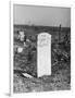 Abandoned Cemetery-Jack Delano-Framed Photographic Print