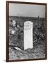 Abandoned Cemetery-Jack Delano-Framed Photographic Print