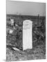 Abandoned Cemetery-Jack Delano-Mounted Photographic Print