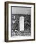 Abandoned Cemetery-Jack Delano-Framed Photographic Print