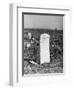 Abandoned Cemetery-Jack Delano-Framed Photographic Print