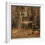 Abandoned Chair-Florian Raymann-Framed Photographic Print