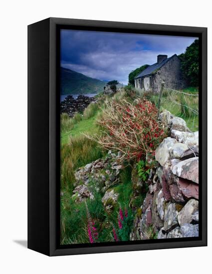 Abandoned Cottage on the Famine Relief Road in Killary Harbour, Connemara, Connaught, Ireland-Gareth McCormack-Framed Stretched Canvas