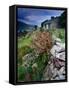 Abandoned Cottage on the Famine Relief Road in Killary Harbour, Connemara, Connaught, Ireland-Gareth McCormack-Framed Stretched Canvas