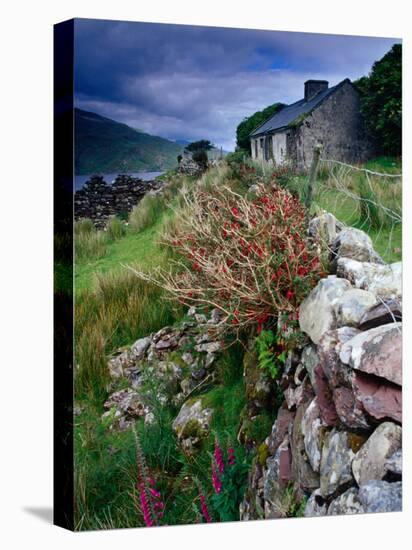 Abandoned Cottage on the Famine Relief Road in Killary Harbour, Connemara, Connaught, Ireland-Gareth McCormack-Stretched Canvas