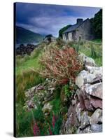 Abandoned Cottage on the Famine Relief Road in Killary Harbour, Connemara, Connaught, Ireland-Gareth McCormack-Stretched Canvas