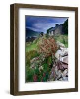 Abandoned Cottage on the Famine Relief Road in Killary Harbour, Connemara, Connaught, Ireland-Gareth McCormack-Framed Photographic Print