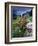 Abandoned Cottage on the Famine Relief Road in Killary Harbour, Connemara, Connaught, Ireland-Gareth McCormack-Framed Photographic Print