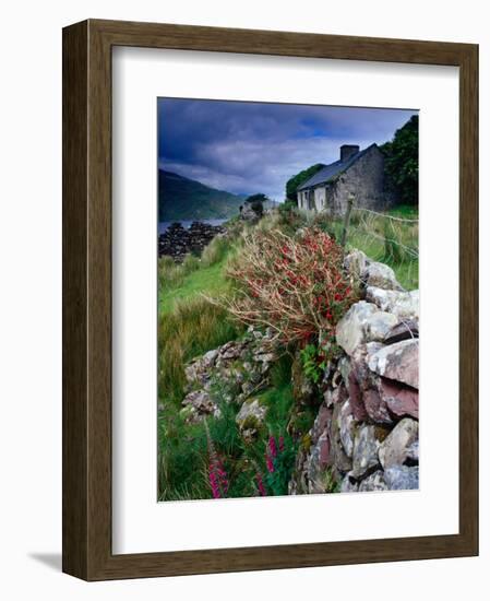 Abandoned Cottage on the Famine Relief Road in Killary Harbour, Connemara, Connaught, Ireland-Gareth McCormack-Framed Photographic Print