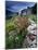 Abandoned Cottage on the Famine Relief Road in Killary Harbour, Connemara, Connaught, Ireland-Gareth McCormack-Mounted Photographic Print