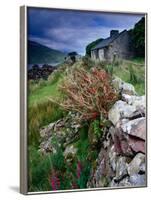 Abandoned Cottage on the Famine Relief Road in Killary Harbour, Connemara, Connaught, Ireland-Gareth McCormack-Framed Photographic Print