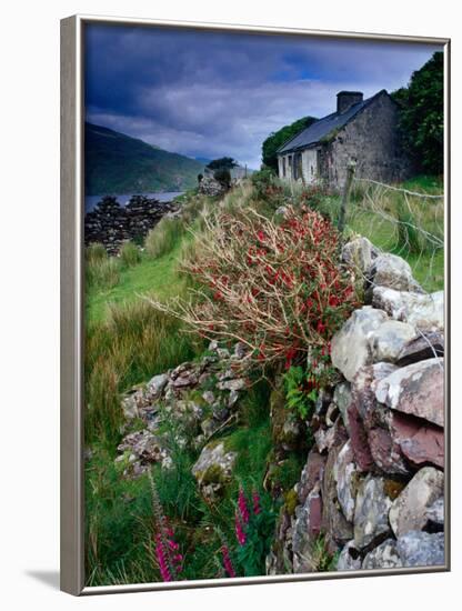 Abandoned Cottage on the Famine Relief Road in Killary Harbour, Connemara, Connaught, Ireland-Gareth McCormack-Framed Photographic Print