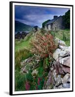 Abandoned Cottage on the Famine Relief Road in Killary Harbour, Connemara, Connaught, Ireland-Gareth McCormack-Framed Photographic Print