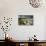 Abandoned Croft Beneath a Stormy Sky-Lee Frost-Photographic Print displayed on a wall