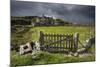 Abandoned Croft Beneath a Stormy Sky-Lee Frost-Mounted Photographic Print