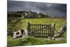 Abandoned Croft Beneath a Stormy Sky-Lee Frost-Mounted Photographic Print