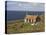 Abandoned Croft, Wester Ross, Highlands, Scotland, United Kingdom, Europe-Jean Brooks-Stretched Canvas