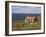 Abandoned Croft, Wester Ross, Highlands, Scotland, United Kingdom, Europe-Jean Brooks-Framed Photographic Print