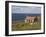 Abandoned Croft, Wester Ross, Highlands, Scotland, United Kingdom, Europe-Jean Brooks-Framed Photographic Print