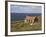 Abandoned Croft, Wester Ross, Highlands, Scotland, United Kingdom, Europe-Jean Brooks-Framed Photographic Print