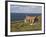 Abandoned Croft, Wester Ross, Highlands, Scotland, United Kingdom, Europe-Jean Brooks-Framed Photographic Print