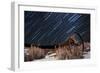 Abandoned Farm Equipment Against a Backdrop of Star Trails-null-Framed Photographic Print