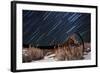 Abandoned Farm Equipment Against a Backdrop of Star Trails-null-Framed Photographic Print