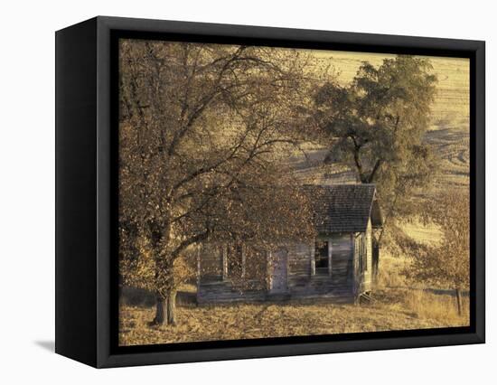 Abandoned Farm House in Wheat Field, Uniontown, Washington, USA-William Sutton-Framed Stretched Canvas