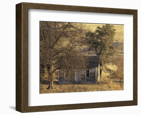 Abandoned Farm House in Wheat Field, Uniontown, Washington, USA-William Sutton-Framed Photographic Print