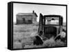 Abandoned Farm in Dust Bowl-Alfred Eisenstaedt-Framed Stretched Canvas