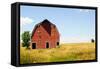 Abandoned Farm in Nebraska-StompingGirl-Framed Stretched Canvas