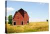 Abandoned Farm in Nebraska-StompingGirl-Stretched Canvas