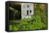 Abandoned Farmhouse, Armour, North Carolina-Paul Souders-Framed Stretched Canvas