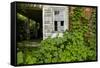 Abandoned Farmhouse, Armour, North Carolina-Paul Souders-Framed Stretched Canvas