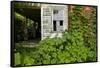 Abandoned Farmhouse, Armour, North Carolina-Paul Souders-Framed Stretched Canvas