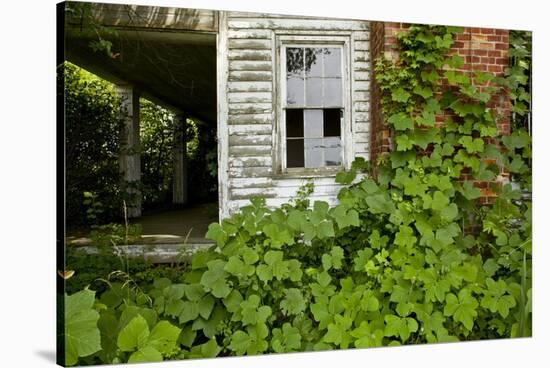 Abandoned Farmhouse, Armour, North Carolina-Paul Souders-Stretched Canvas