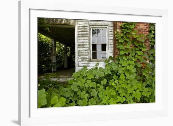 Abandoned Farmhouse, Armour, North Carolina-Paul Souders-Framed Photographic Print