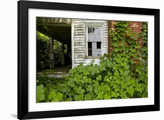 Abandoned Farmhouse, Armour, North Carolina-Paul Souders-Framed Photographic Print