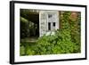 Abandoned Farmhouse, Armour, North Carolina-Paul Souders-Framed Photographic Print