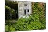 Abandoned Farmhouse, Armour, North Carolina-Paul Souders-Mounted Photographic Print