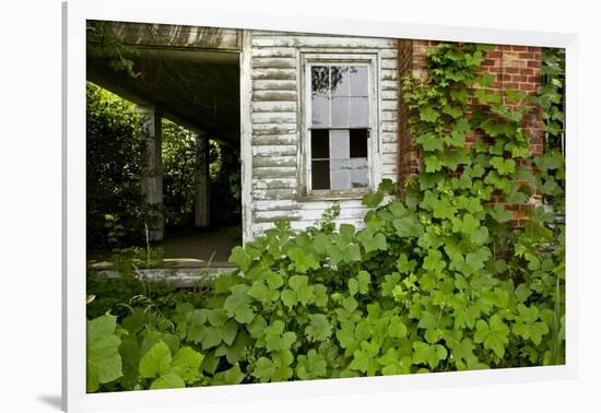 Abandoned Farmhouse, Armour, North Carolina-Paul Souders-Framed Photographic Print