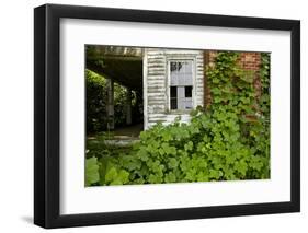 Abandoned Farmhouse, Armour, North Carolina-Paul Souders-Framed Photographic Print