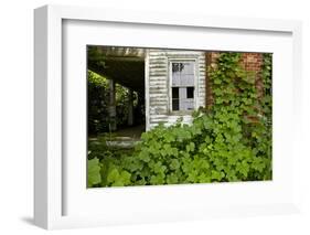 Abandoned Farmhouse, Armour, North Carolina-Paul Souders-Framed Photographic Print