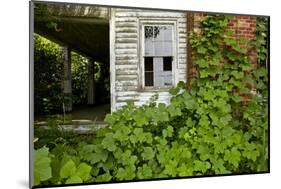 Abandoned Farmhouse, Armour, North Carolina-Paul Souders-Mounted Photographic Print