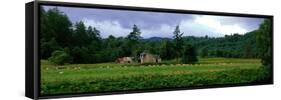 Abandoned Farmhouse with Sheep Glen Strathfarrar Highlands Scotland-null-Framed Stretched Canvas