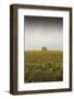 Abandoned Farmhouse-Michael Hudson-Framed Giclee Print