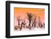 Abandoned Field-Janet Slater-Framed Photographic Print