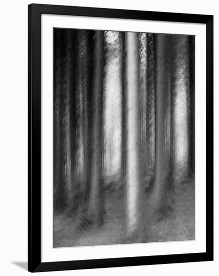 Abandoned Forest-Jacob Berghoef-Framed Photographic Print