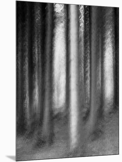 Abandoned Forest-Jacob Berghoef-Mounted Photographic Print
